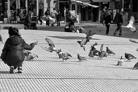 Blanco y  negro.Joven alimentando palomas en plaza