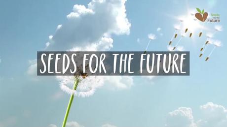 Huawei abre la convocatoria: “Seeds for the future” 2018