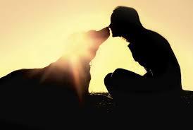 Resultado de imagen para amor por los perros