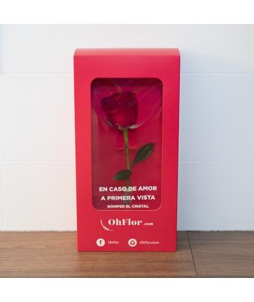 Regalos especiales: flores frescas vs. flores preservadas