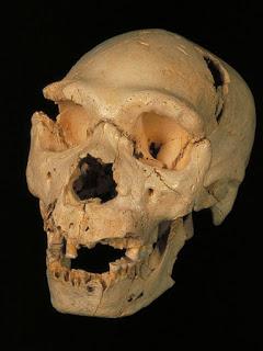 Premio ESPELEO 2018 a Equipo de Investigación de Atapuerca