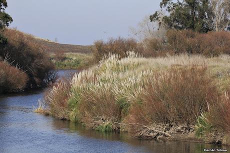 Sur bonaerense  IV (Lobería)