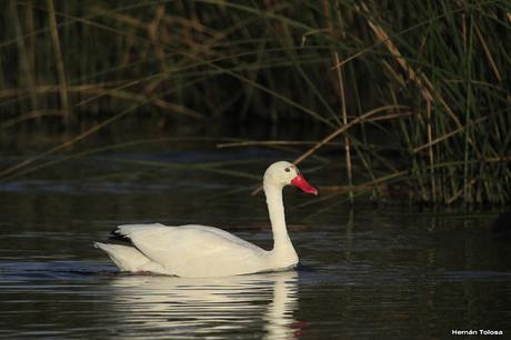 Sur bonaerense  IV (Lobería)