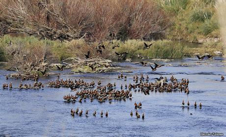 Sur bonaerense  IV (Lobería)