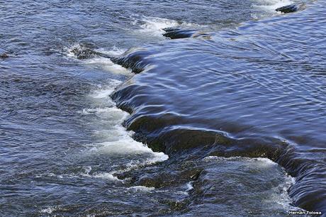 Sur bonaerense  IV (Lobería)