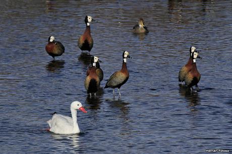 Sur bonaerense  IV (Lobería)