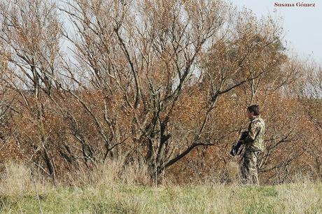 Sur bonaerense  IV (Lobería)