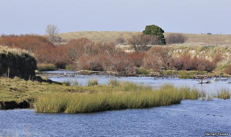 Sur bonaerense  IV (Lobería)