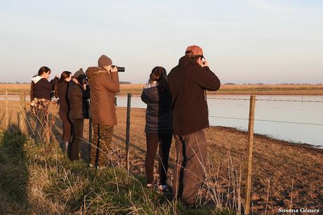 Sur bonaerense  IV (Lobería)