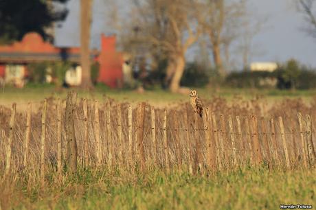 Sur bonaerense  IV (Lobería)