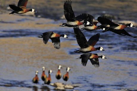 Sur bonaerense  IV (Lobería)