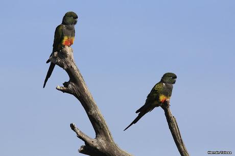 Sur bonaerense  IV (Lobería)