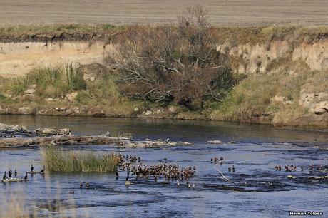 Sur bonaerense  IV (Lobería)