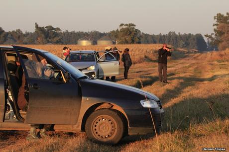 Sur bonaerense  IV (Lobería)