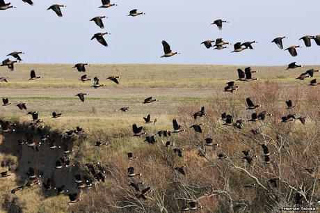 Sur bonaerense  IV (Lobería)