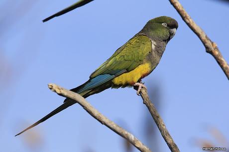 Sur bonaerense  IV (Lobería)