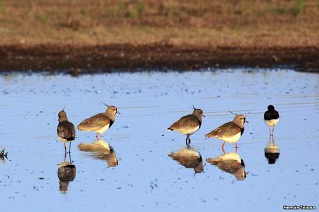 Sur bonaerense  IV (Lobería)