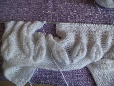 PAP...chaquetita canesu hojas