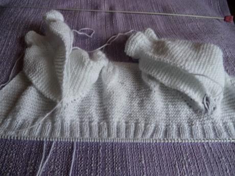 PAP...chaquetita canesu hojas