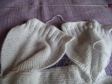 PAP...chaquetita canesu hojas