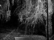 crónicas guardián. chica banca