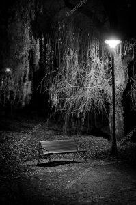 Las crónicas de un guardián. La chica de la banca