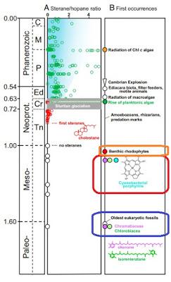 Los pigmentos más viejos