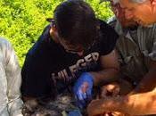 escasez comida empuja cóndor andino desde Chile Argentina