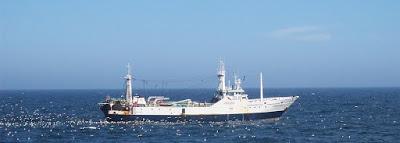 Brexit es “potencialmente catastrófico” para las Islas Falkland?