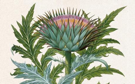 “El reino ignorado. Una sorprendente visión del maravilloso mundo de las plantas”, de David González Jara