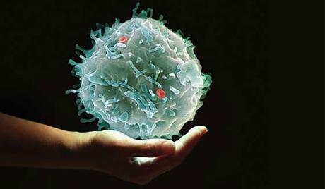'Células madre': Explican el mecanismo oculto de la procreación del cáncer
