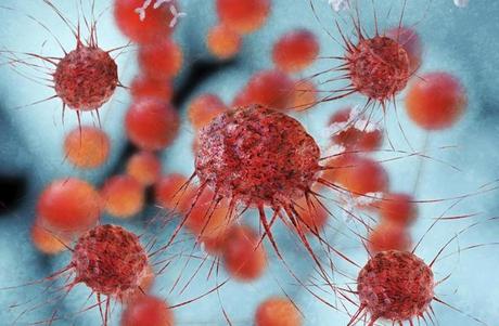 'Células madre': Explican el mecanismo oculto de la procreación del cáncer