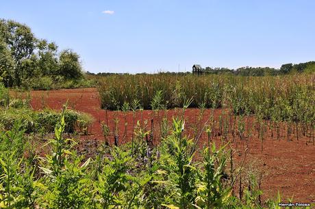 Nueva visita a la Reserva de San Vicente