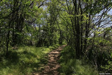 Nueva visita a la Reserva de San Vicente