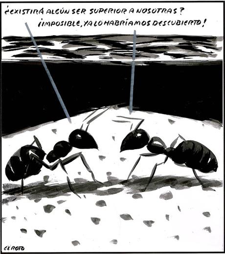 [HUMOR EN CÁPSULAS] Para hoy martes, 24 de julio