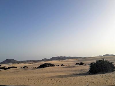 Fuerteventura: la arena y las piedras.