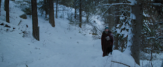 La montaña entre nosotros (The mountain between us, Hany Abu-Assad, 2017. EEUU)