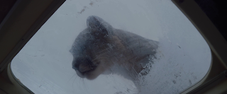 La montaña entre nosotros (The mountain between us, Hany Abu-Assad, 2017. EEUU)