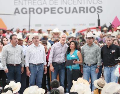 OTORGA GOBERNADOR MEXIQUENSE ALFREDO DEL MAZO, INCENTIVOS AGROPECUARIOS A MÁS DE 2 MIL PRODUCTORES DE 33 MUNICIPIOS DEL NORTE DE LA ENTIDAD.