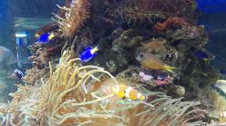 El tiempo, tu tesoro.