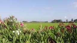 El tiempo, tu tesoro.