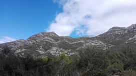 El tiempo, tu tesoro.