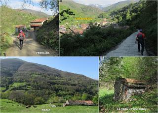 Casomera-Rumañón-Carrena