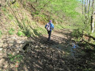 Casomera-Rumañón-Carrena