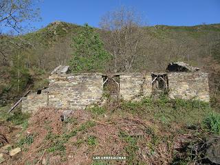 Casomera-Rumañón-Carrena
