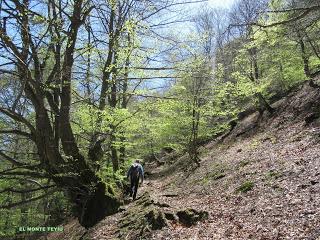 Casomera-Rumañón-Carrena