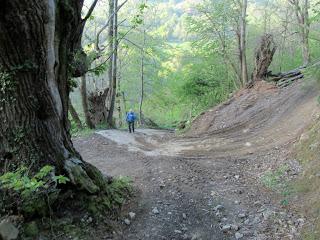 Casomera-Rumañón-Carrena