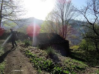 Casomera-Rumañón-Carrena