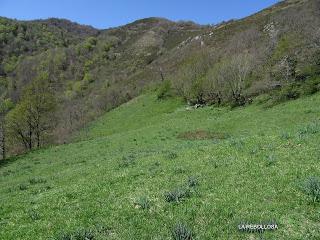 Casomera-Rumañón-Carrena
