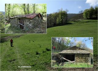 Casomera-Rumañón-Carrena